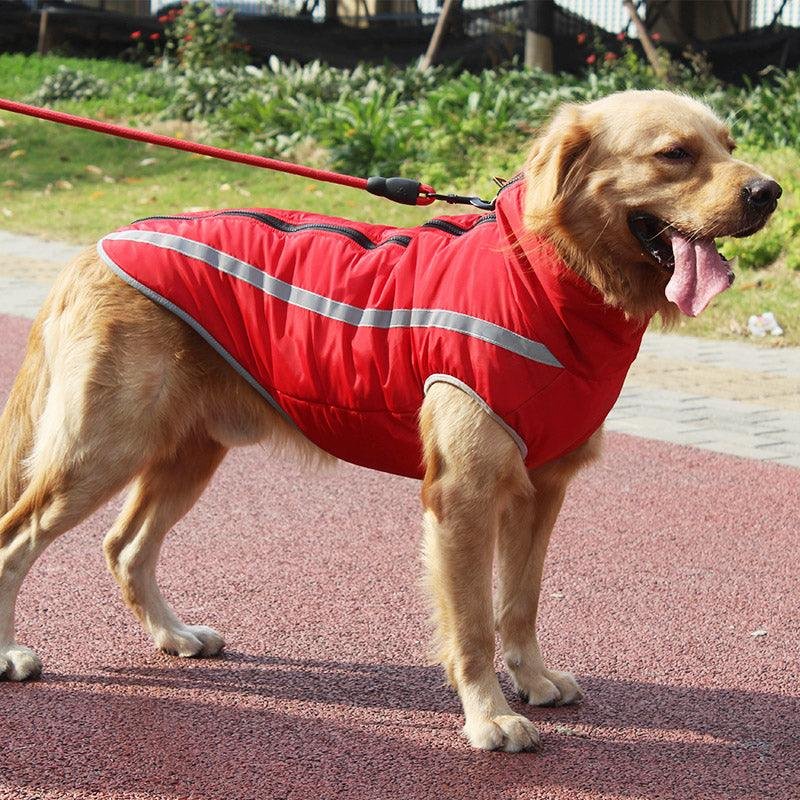 Ultra Cozy Windproof Dog - Image 2