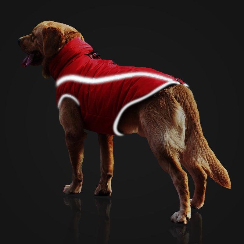 Ultra Cozy Windproof Dog - Image 4